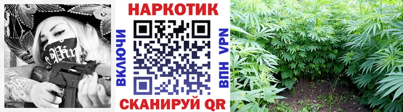 Купить закладку Приволжский Альфа ПВП  Бошки Шишки  Псилоцибиновые грибы  МЕФ  ГАШ  МЕТАДОН  Кокаин 