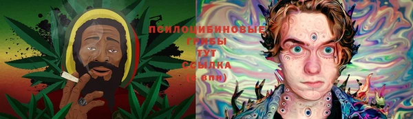 прущая мука Кинешма