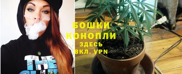 прущая мука Кинешма