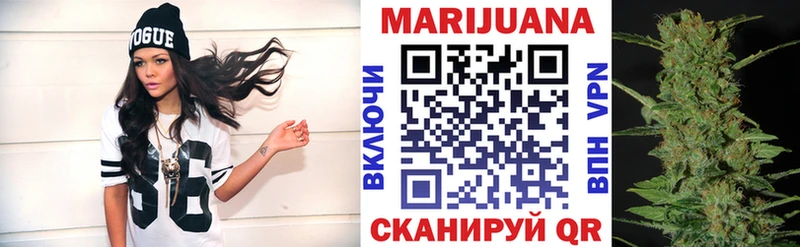 Конопля индика  Приволжский 